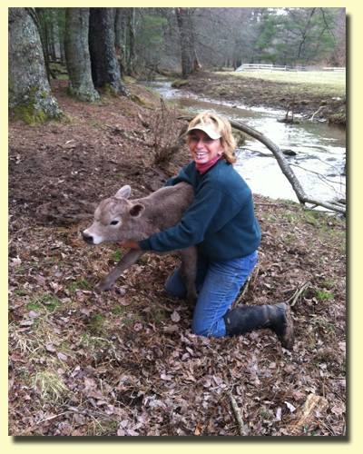 Barbara Ann and Baby calf